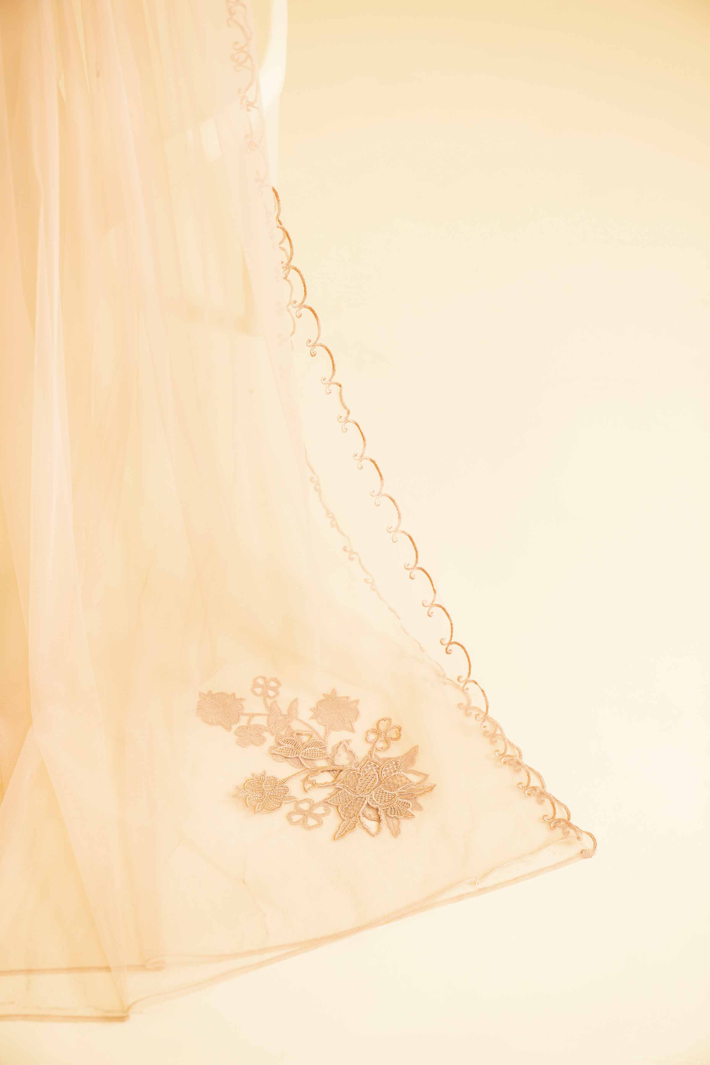Embroidered Dupatta - KFE25-50