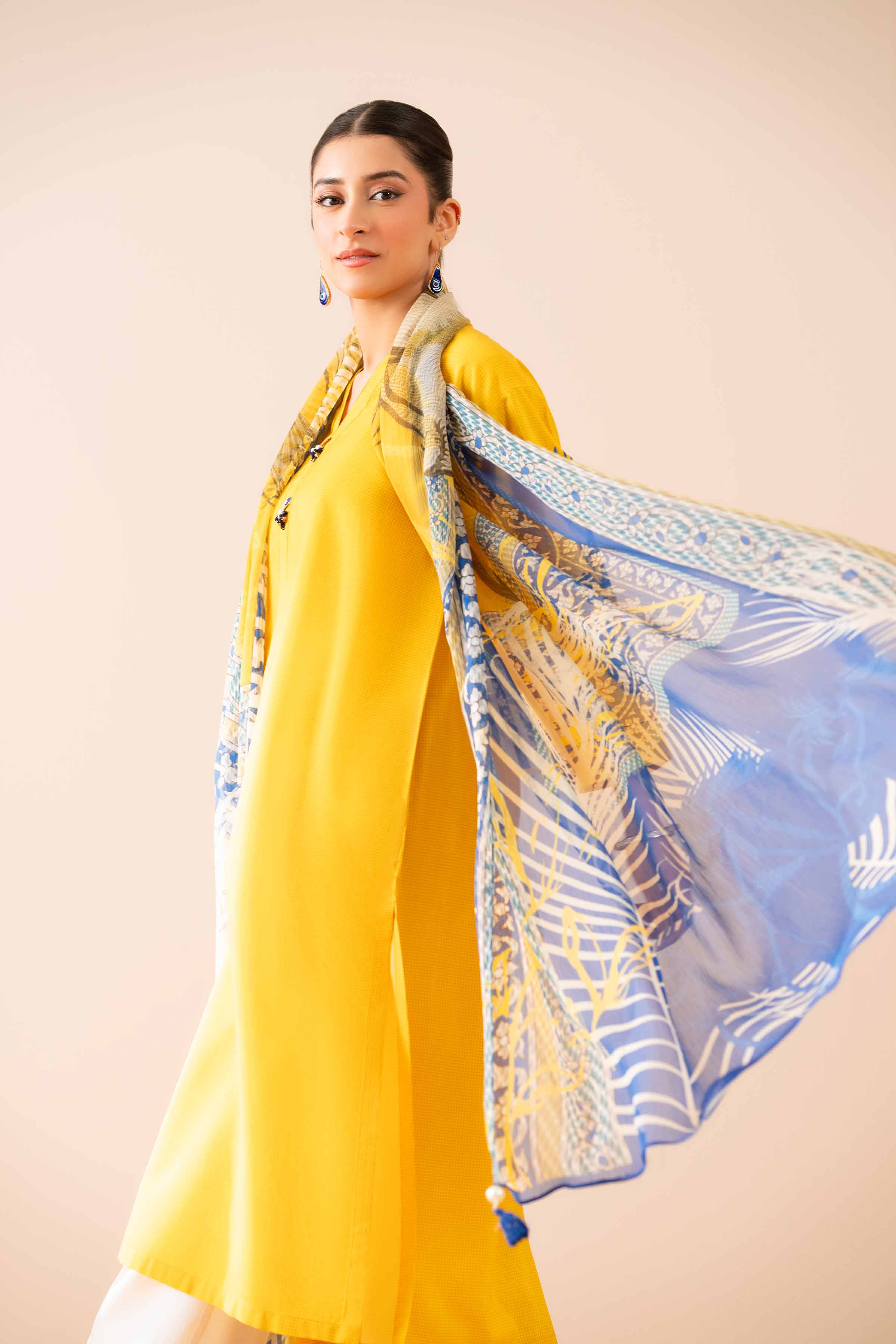 2 Piece - Printed Embroidered Suit - PS25-68