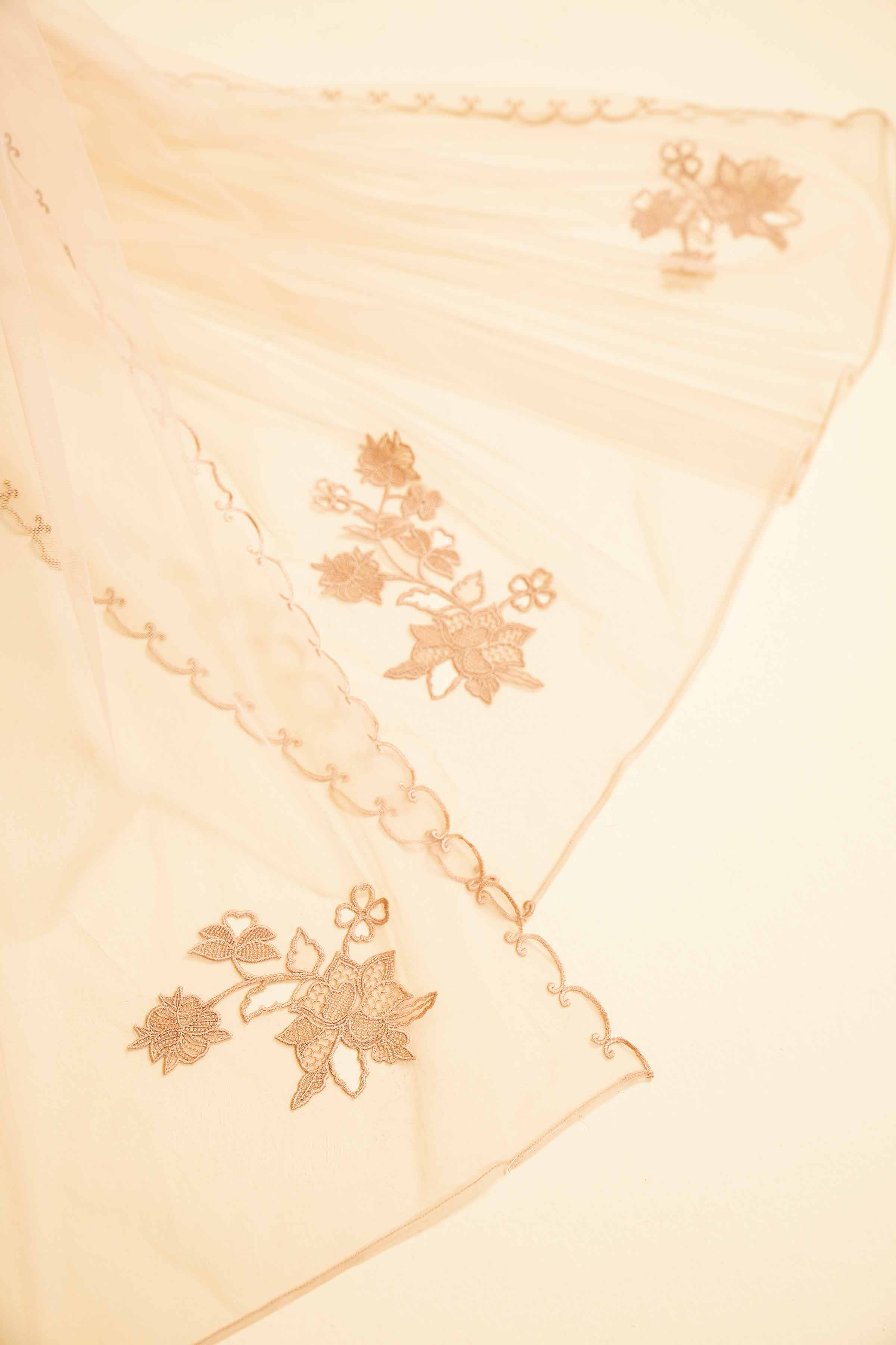Embroidered Dupatta - KFE25-50