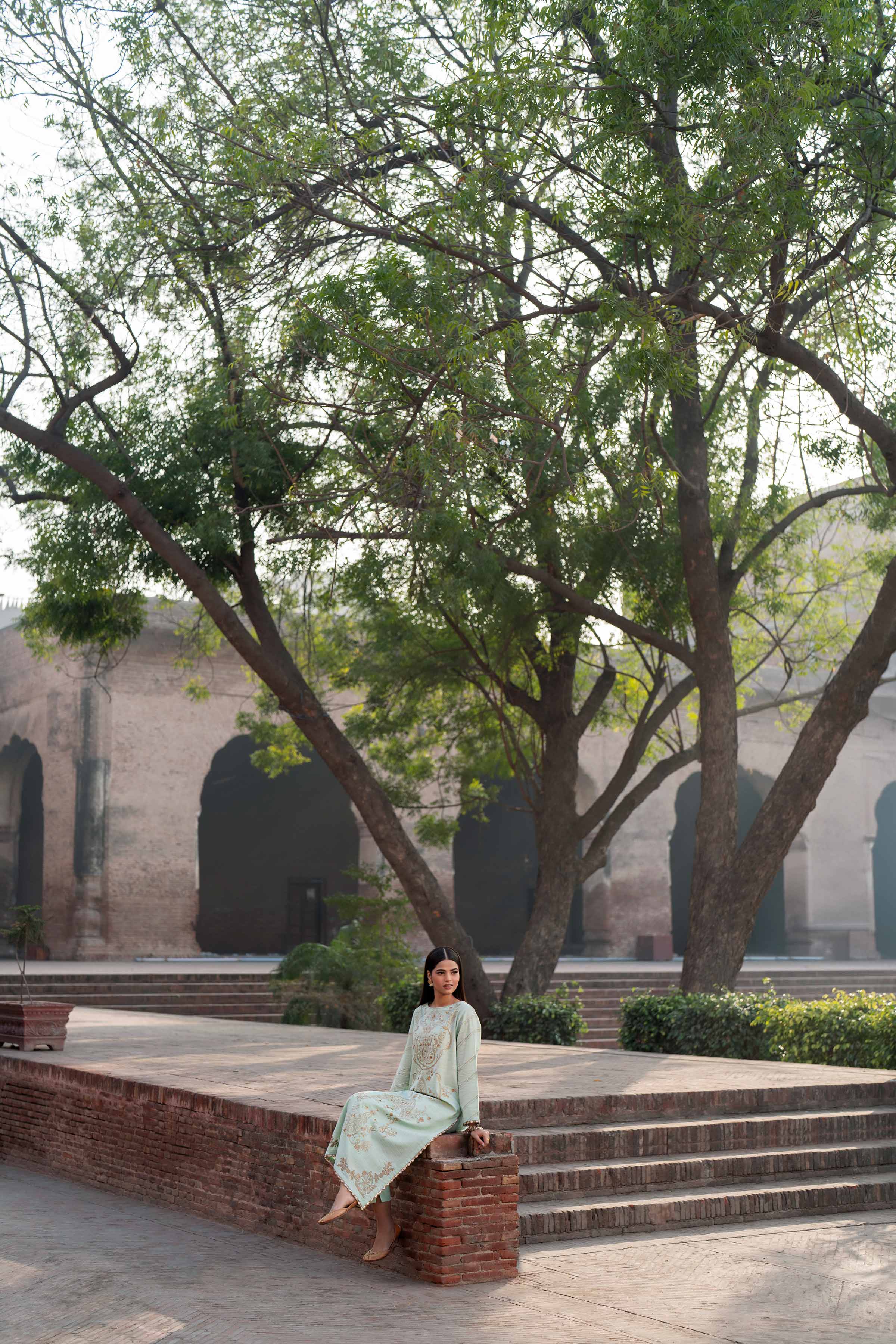 2 Piece - Embroidered Suit - PFE25-23