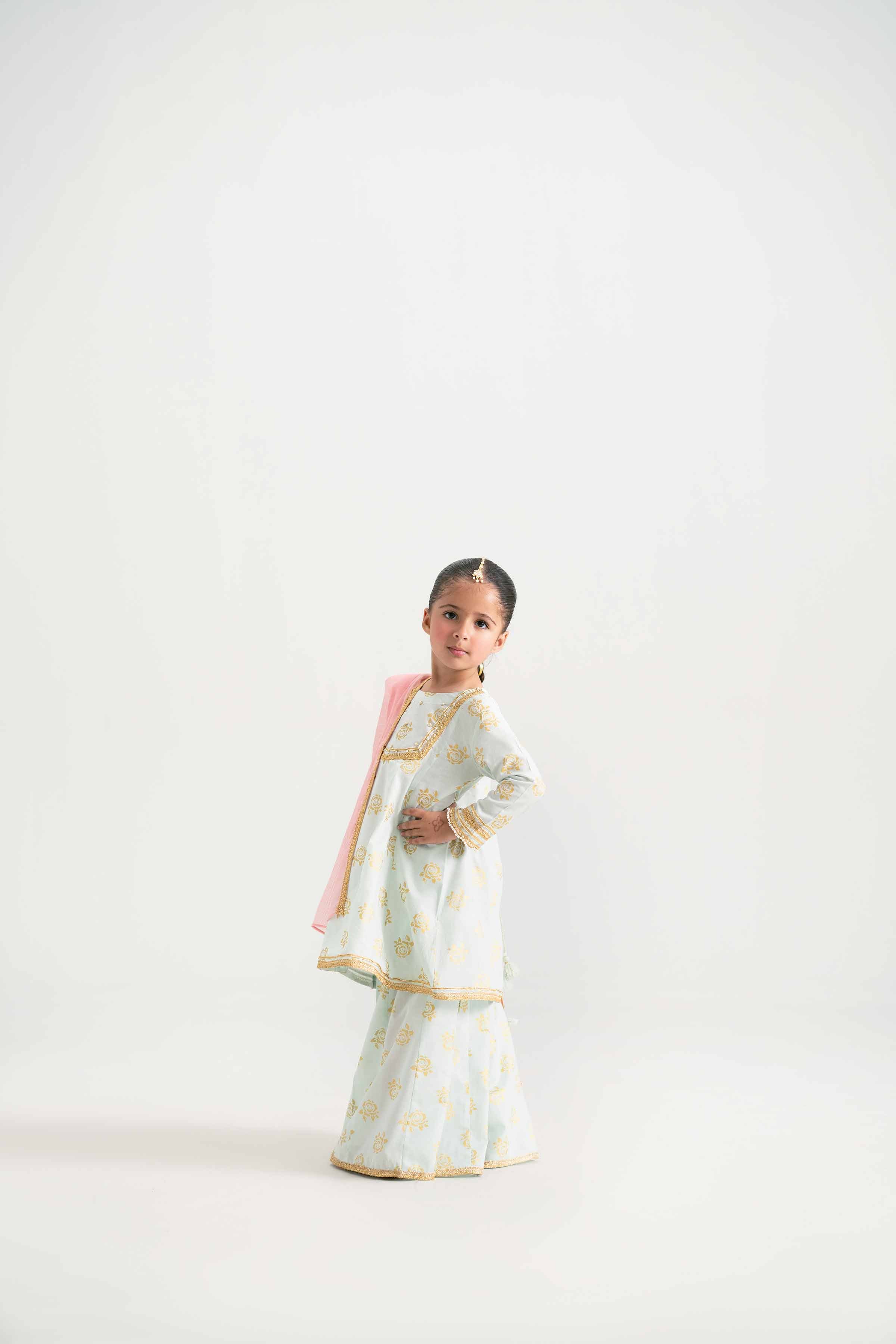3 Piece - Printed Suit - PMD25-10 D