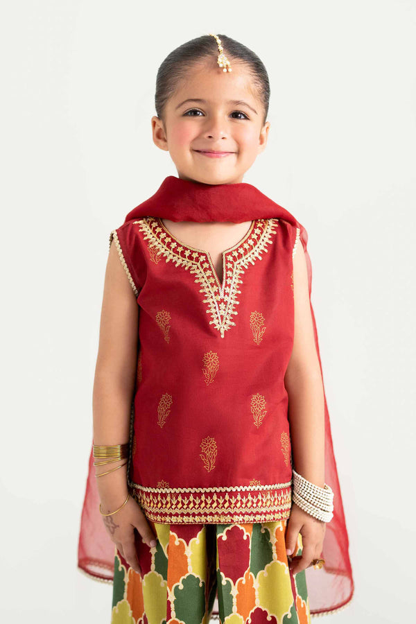 3 Piece - Printed Embroidered Suit - PMD25-13 D