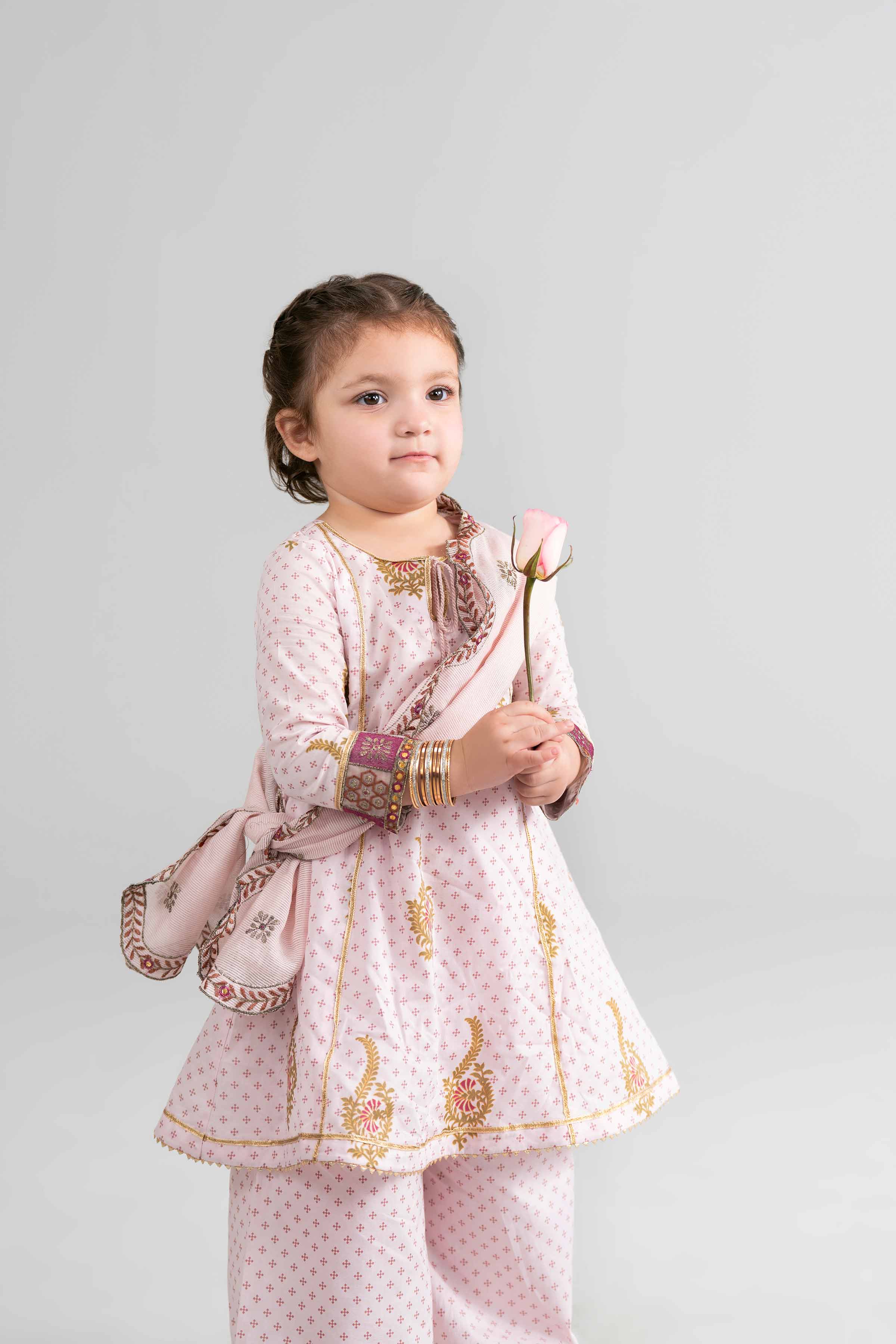 3 Piece - Printed Embroidered Suit - PMD26-44 D