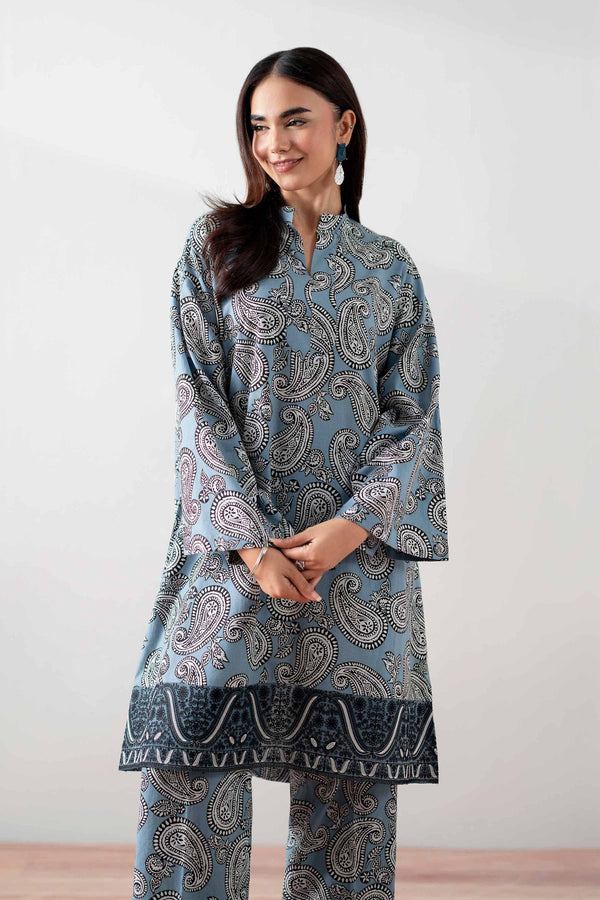 2 Piece - Printed Embroidered Suit - PS25-138