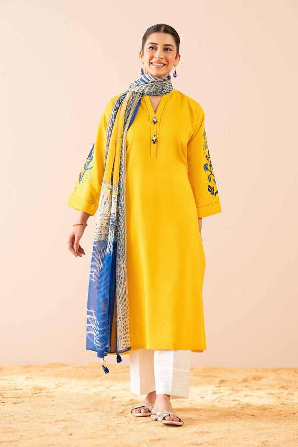 2 Piece - Printed Embroidered Suit - PS25-68